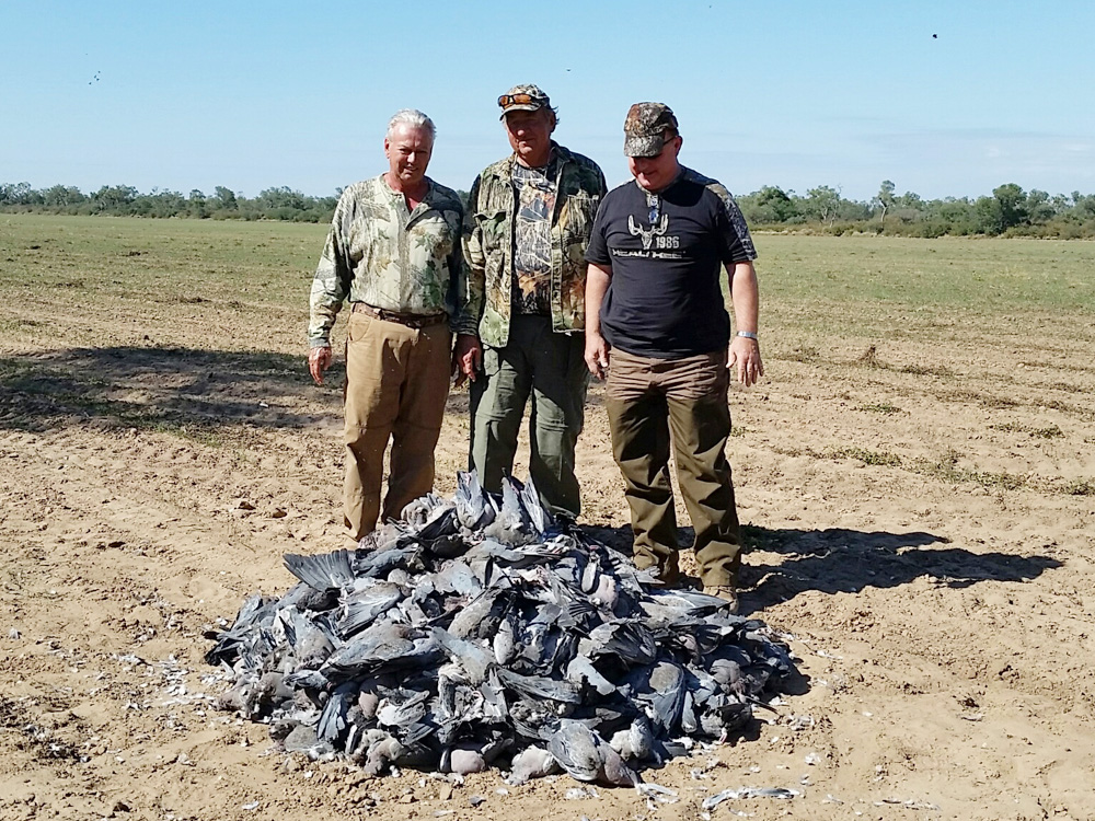 Paraguay Pigeon Hunting & Dorado Fishing