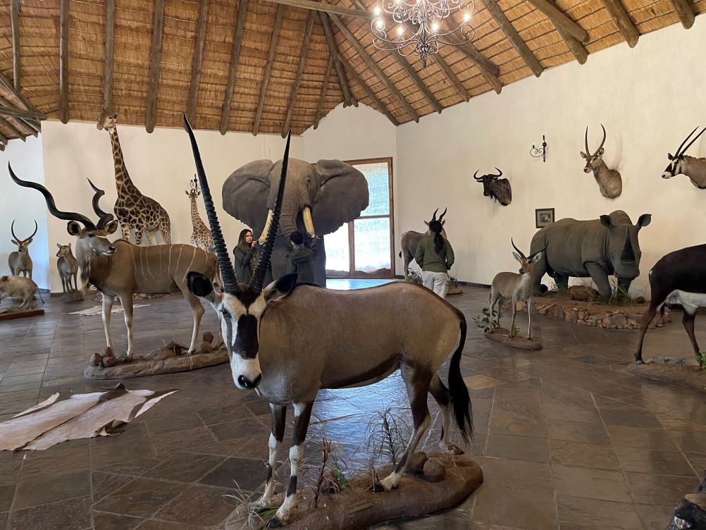 matswani museum