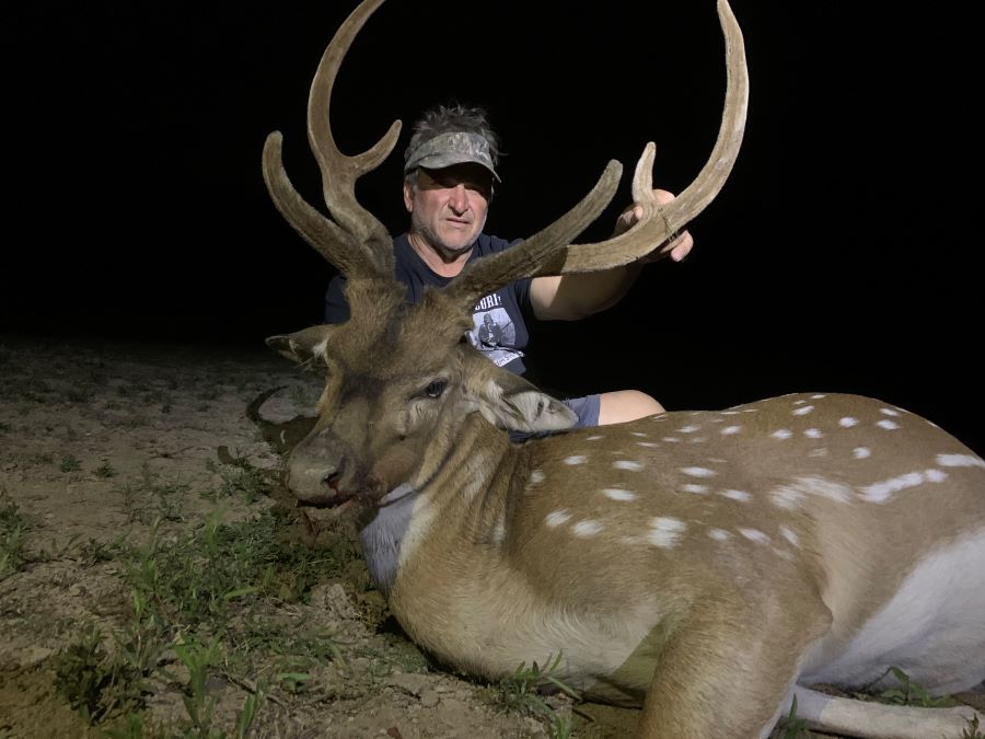 Texas Whitetail Deer & Exotics