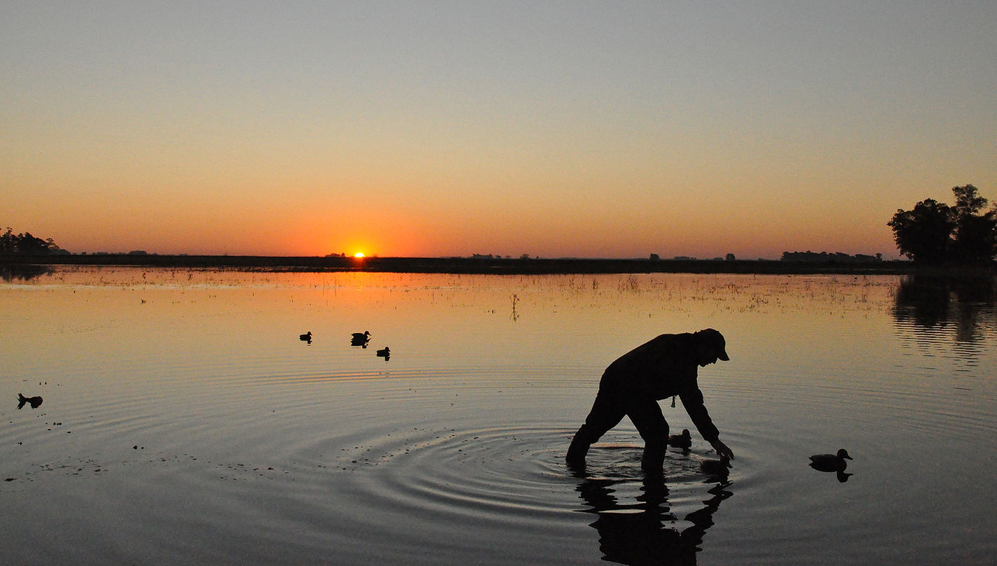 argentinehunting