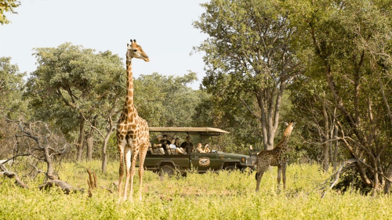 argentinehunting